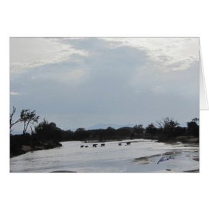 Elephants Crossing The River Card