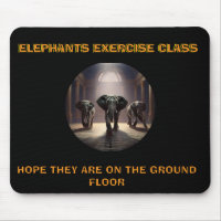 Elephants Dance Class