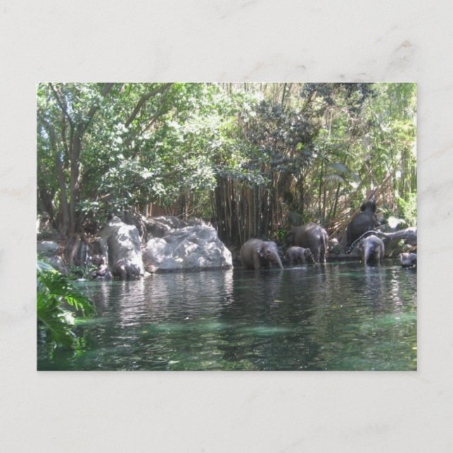 Eléphants en jeu carte postale (Devant)