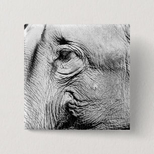 Elephants Eye, 2017 2 Inch Square Button