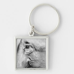 Elephants Eye, 2017 Keychain