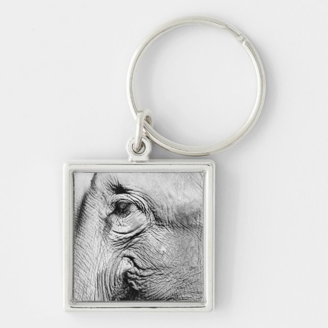 Elephants Eye, 2017 Keychain (Front)