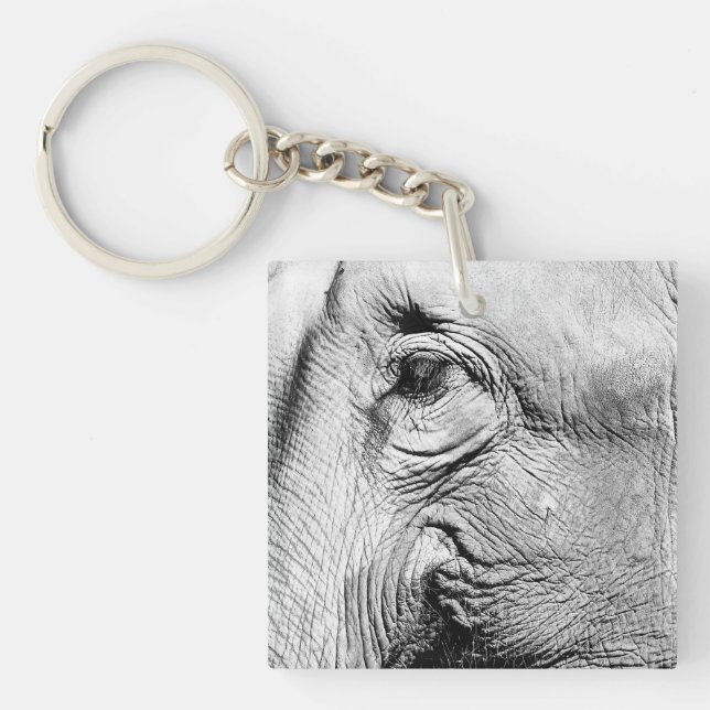 Elephants Eye, 2017 Keychain (Front)