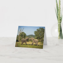 Elephants Fighting Folded Greeting Card