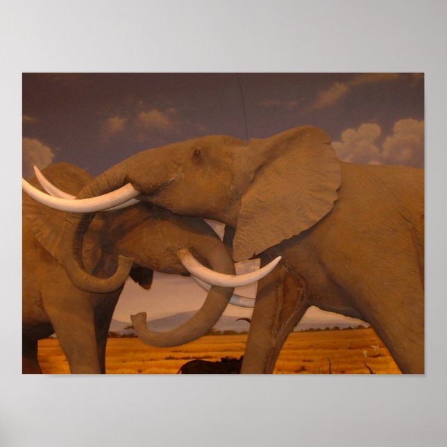 Elephants!  Framed Print (Front)