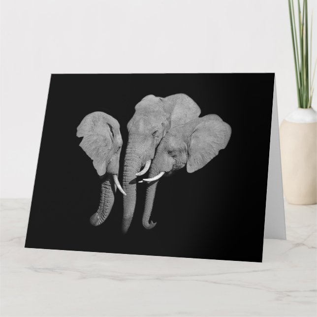 Elephants greeting card (Front)