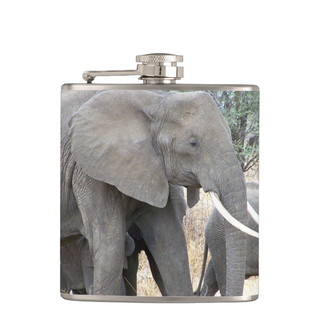 Elephants Hip Flask (Front)