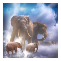 Elephants in Heaven