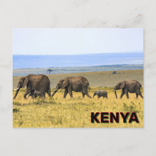Elephants In Kenya Postcard