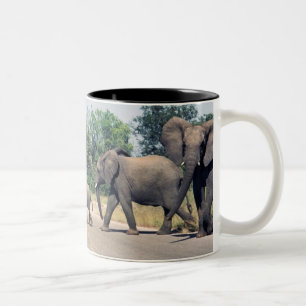 Elephants in Kruger Park Two-Tone Coffee Mug