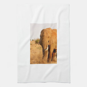 Elephants Kitchen Towel