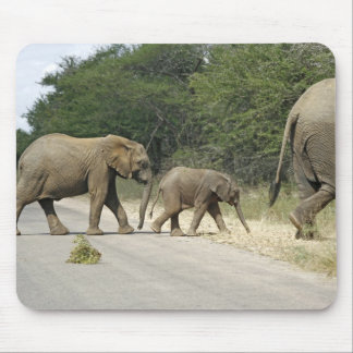 Elephants Mouse Pad