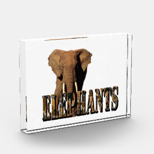 Elephants Name Made From Elephants, Photo Block