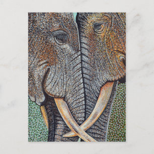 Elephants Never Forget Postcard
