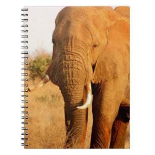 Elephants Notebook