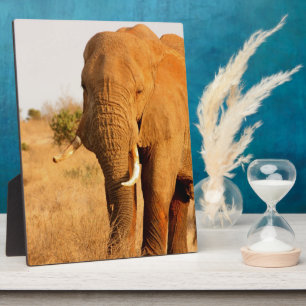 Elephants Plaque
