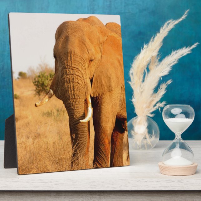 Elephants Plaque (Side)