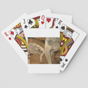 ELEPHANTS PLAYING CARDS