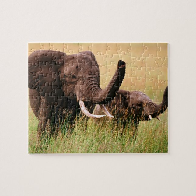 Elephants Puzzle (Horizontal)