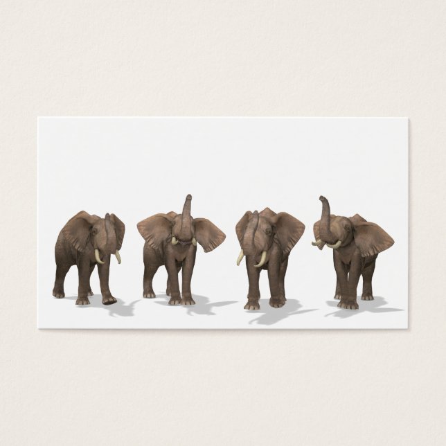 Elephants Quartet (Front)