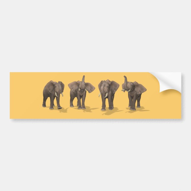 Elephants Quartet Bumper Sticker (Front)