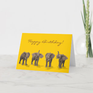 Elephants Quartet Happy Birthday Card