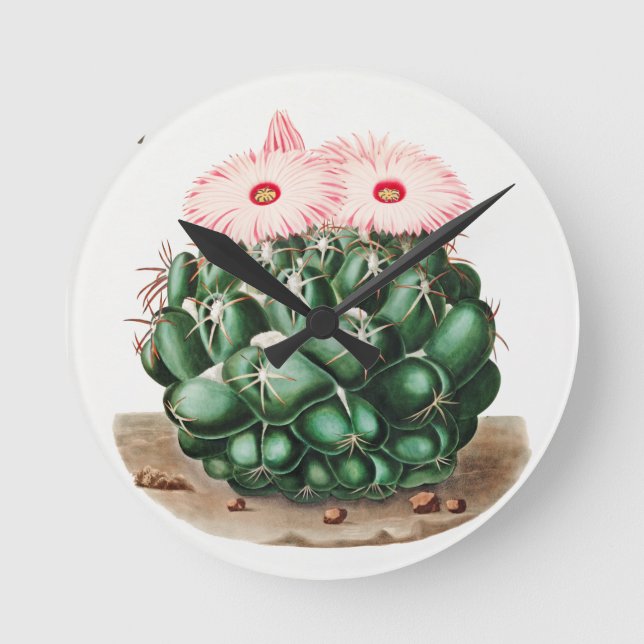Elephant's Tooth Cactus Flower illustration Round Clock (Front)