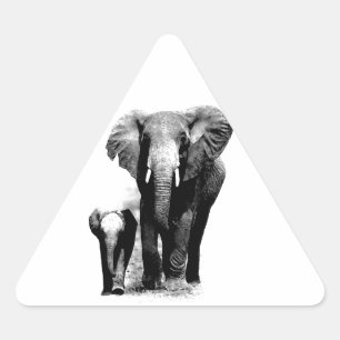 Elephants Triangle Sticker