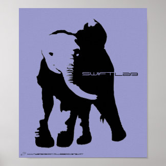 elephantshadow, Bird Head Blank, swift, lab, ww... Poster