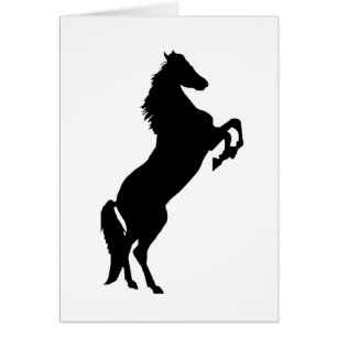 Élevage du cheval