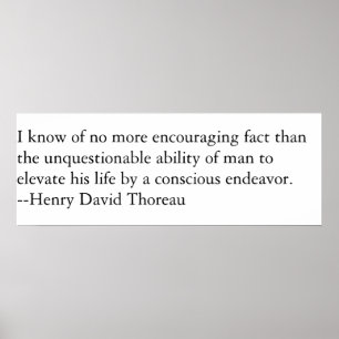 Elevate your life. poster