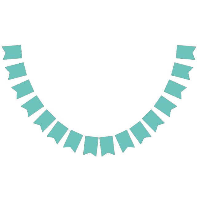 Elevate Your Parties with Vibrant Bunting Banners  (All)