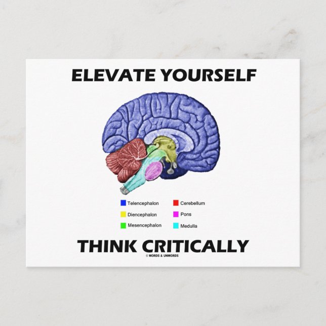 Elevate Yourself Think Critically Brainy Advice Postcard (Front)