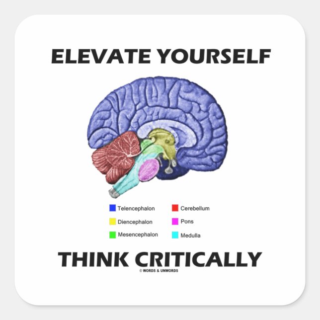 Elevate Yourself Think Critically Brainy Advice Square Sticker (Front)
