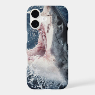 Elevated Shark mouth open