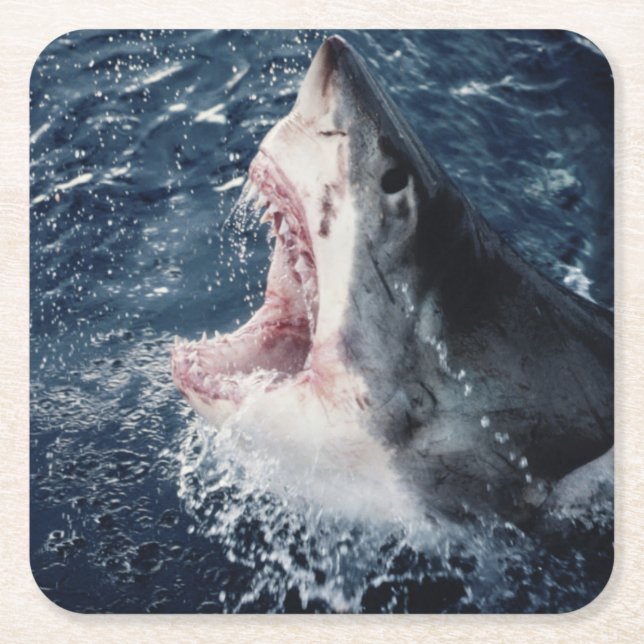 Elevated Shark mouth open Square Paper Coaster (Front)