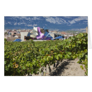 Elevated town view and Hotel Marques de Riscal