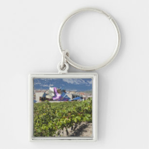 Elevated town view and Hotel Marques de Riscal Keychain