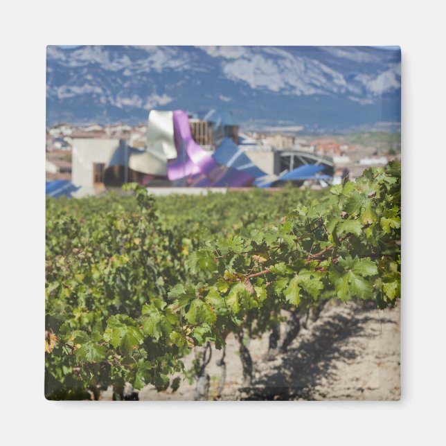 Elevated town view and Hotel Marques de Riscal Magnet (Front)