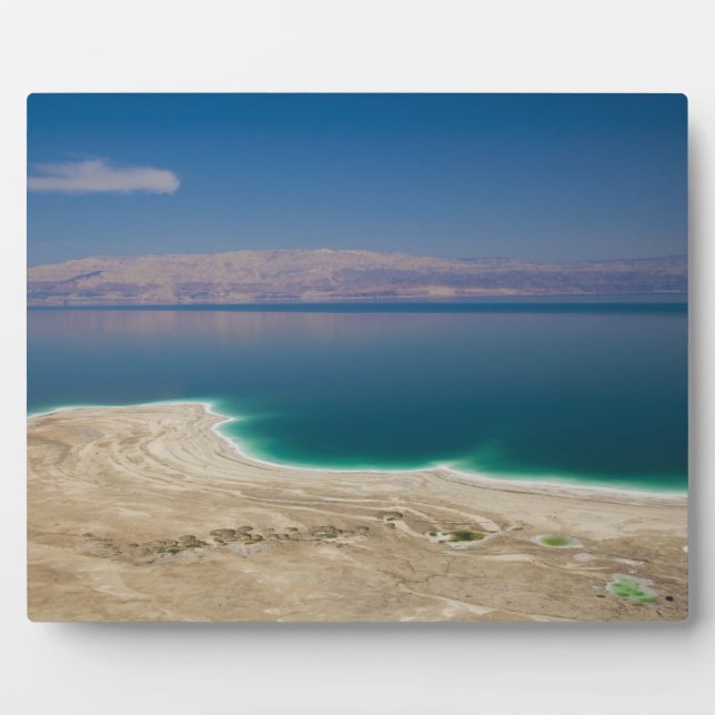 Elevated view of the Dead Sea Plaque (Front)