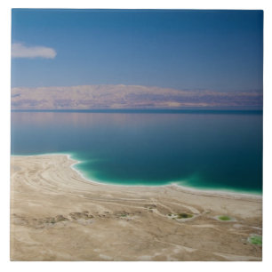 Elevated view of the Dead Sea Tile