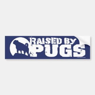 ÉLEVÉ PAR CARLINS Bleu Bumper Sticker