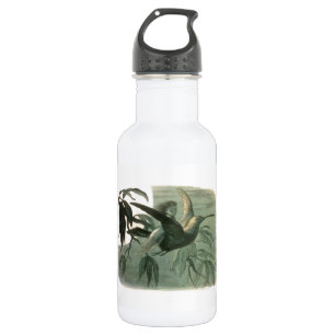 Elf Fairies Elves Moon Night Scene Bird Flying  532 Ml Water Bottle