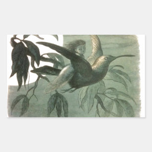 Elf Fairies Elves Moon Night Scene Bird Flying  Sticker