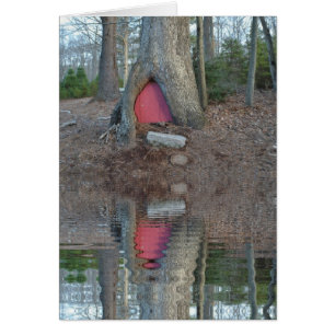 Elf House