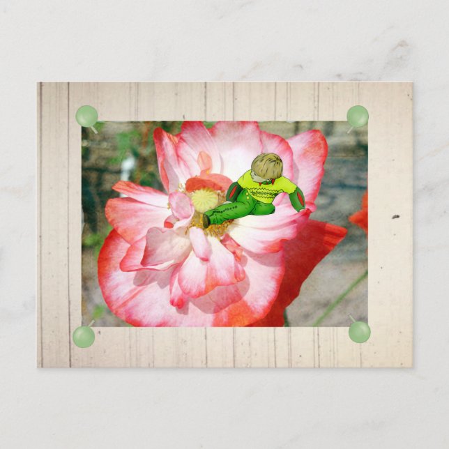 Elf im Mohn Postcard (Front)