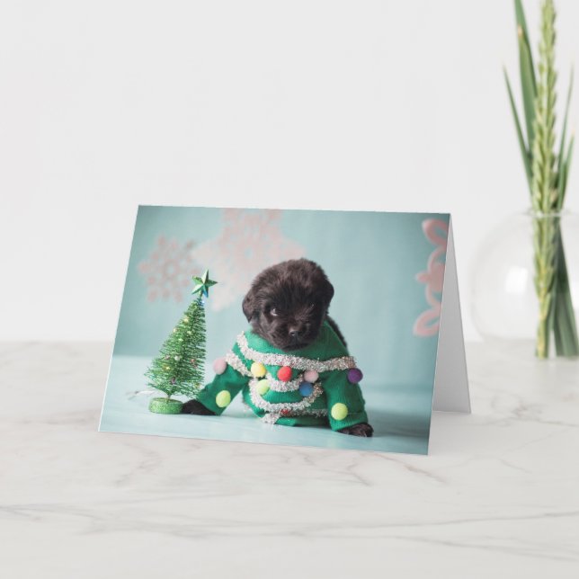 Elf Puppy Greeting Card (Front)