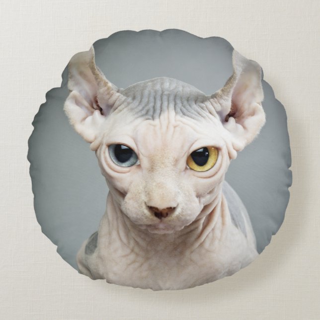 Elf Sphinx Cat Photograph Image Round Pillow (Front)