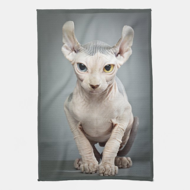 Elf Sphinx Cat Photograph Kitchen Towel (Vertical)