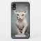 Elf Sphynx Cat Photograph | Add Your Name